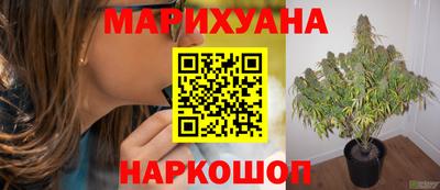 марихуана Славгород