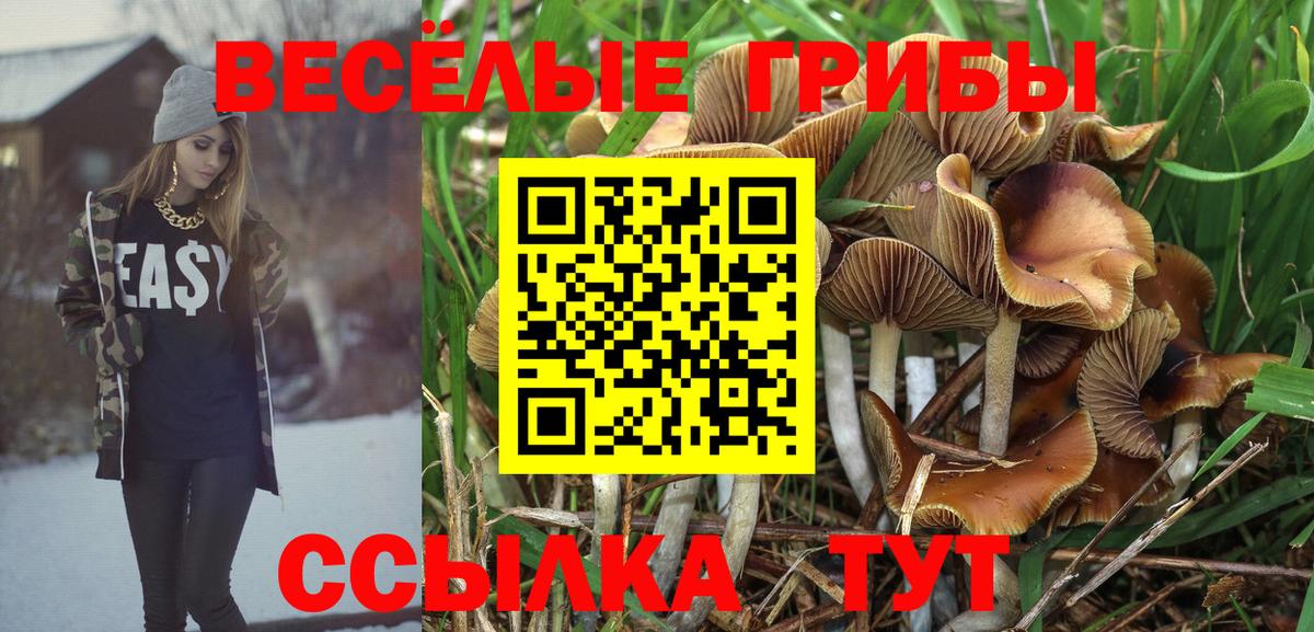 Галлюциногенные грибы мухоморы Советский