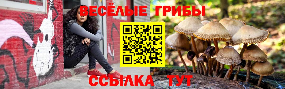 Псилоцибиновые грибы мухоморы  купить  сайты  Советский  Вход с VPN  Псилоцибиновые грибы Psilocybine cubensis 